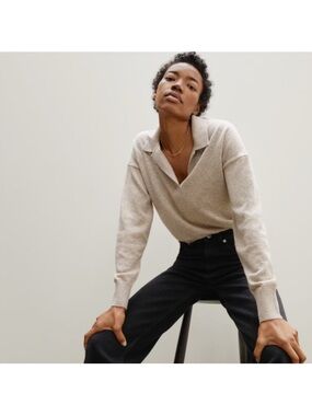 Everlane Light Heather Gray V-Neck Polo Sweater